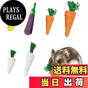 yzYFFSFDC ނ ybgp 6 nX^[ `` ETM   ^s VRf ybgpi VR XgX 卪̂