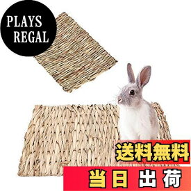 【送料無料】YFFSFDC わらっこ倶楽部 うさぎの座ぶとん ウサギマット 草の編み物 手編みクラフト うさぎ モルモット ハムスター 小動物用 ペット用品 小動物用品 ケージ内装 天然素材 休み場所 遊び場 28*21cm (2枚入)