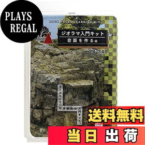 yzKATO WI}pi WI}Lbg ʂ  24-340 S͌^pi