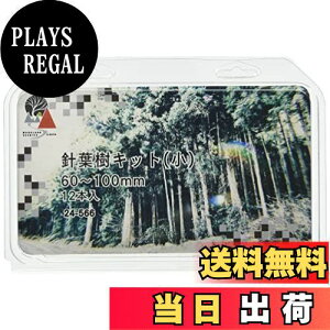 yzKATO WI}pi jtLbg  60`100mm 12{ 24-566 S͌^pi