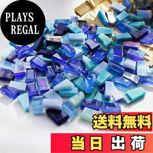 yzCarAngels KXUCN^C eF_ 500g sKJbg DIY  fR[V nhCh Ntg (u[n)