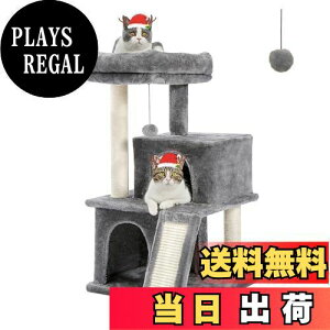 yzPAWZ Road Lbg^[ X RpNg u L^[  萫 @\  R ܂Ƃ|[ X[v   NbV O \  S