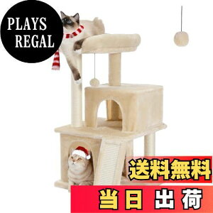 yzPAWZ Road Lbg^[ X RpNg u L^[  萫 @\  R ܂Ƃ|[ X[v   NbV O \  S