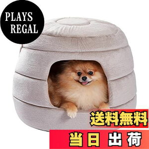yzPAWZ Road  xbh h[  nEX  ̃nEX LnEX Lxbh  ybgxbh n`̑`  킢 p ܂肽 2way NbV O\  