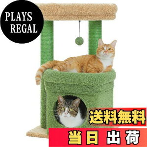 yzPAWZ Road Lbg^[ ~j L^[ ^ Ⴂ  u lC ܂Ƃ|[ ܌ R L̂ RpNg ȃXy[X  S LnEX W] - 68cm O[