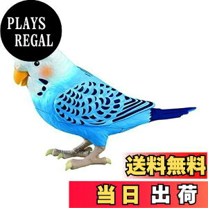 yz^Jg~[ TAKARATOMY ׂ V˃CR  u[ Ώ۔N:6 ]g q[Op[gi[ ׂ1100ʂȏ 10