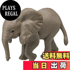 yz^Jg~[ AjA AC-02 ]E (qǂ)    3Έȏ