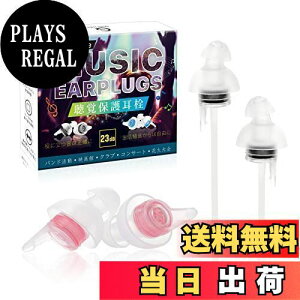 【送料無料】ライブ用耳栓 Quietide 耳栓 ライブ シリコン 防音 遮音 ノイズキャンセリング 耳栓 コンサート イヤープラグ 騒音対策 聴覚障害予防 快眠グッズ 23dB低減 水洗いで何度でも使える