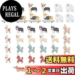 yz[PH PandaHall] 40 ̃`[ 10 Gi y_g 킢 R[M[ _bNXth TGh Jt  nhCh ANZT[p[c DIY  COp[c