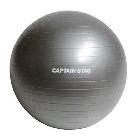 キャプテンスタッグ(CAPTAIN STAG) エクササイズ フィットネス 体幹トレーニング フィットネスボール Φ65cm シルバーホワイト Vit Fit UR-863