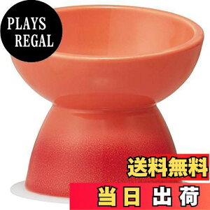 yzXP[^[ (skater) ^p H 퐻 ybga }bgt IW CHOB1