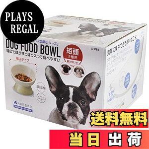 yzXP[^[ (skater) Zp H 퐻 ybga L }bgt CG[ CHOB3