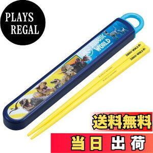 yzXP[^[(Skater) ٓ Zbg  16.5cm qp RۉH WVbNE[h 24 J₷XCh { ABS2AMAG-A
