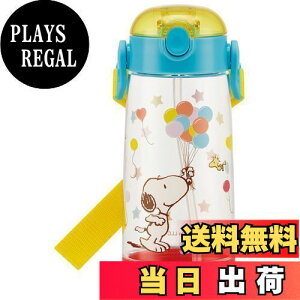 yzXP[^[(Skater) qp  NA{g Xg[t Xk[s[ fBYj[ 480ml PDSH5