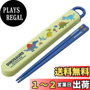 yzXP[^[(Skater)  Zbg fBmTEX sN`[ 16.5cm qp R { ABS2AMAG-A