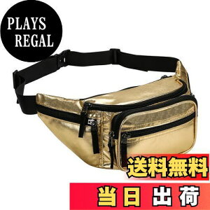 【送料無料】ProCase ウエストポーチ ウエストバッグ 調節可なウエストバンド 6個ポケット メンズ レディース 仕事用 バイク用 耐水性 大容量 ipone/Airpodsなど収納可能 財布 適用場所:旅行 ハ