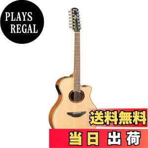 �y���������z���}�n YAMAHA �G���A�R�M�^�[ 12�� APX700II-12 NT