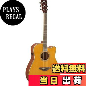 yz}n YAMAHA gXAR[XeBbNM^[ Be[WeBg FGC-TA VT