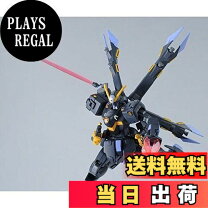 楽天市場】hg x2 クロスボーンの通販 