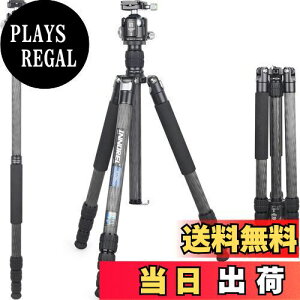 yzINNOREL RT75C J[{ Or {[_ Lbg 172CM gxOr v ibgbN Gx[^[ ω׏d 25KG lir rώ pCva29/26/22/19mm y ^ oR 