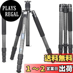 yzINNOREL RT85C J[{ Or 173CM gxOr v ibgbN Gx[^[ ω׏d 25KG lir rώ pCva32mm y ^ oR O 쒹 Be XpCN Or