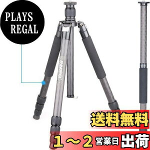 yzINNOREL RT75C J[{ Or 165CM gxOr v ibgbN Gx[^[ ω׏d 20KG lir rώ pCva29mm y ^ oR O 쒹 Be XpCN Or
