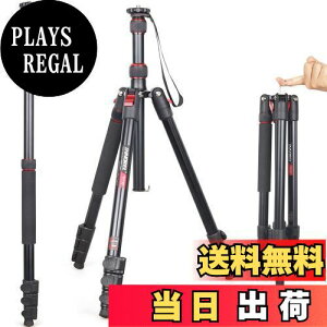 yz჌tOr INNOREL gxOr rώ A~ 15KGω׏d 197CMőƍ RpNgOr J~[Xp y RT30