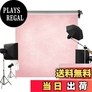 【送料無料】Kate 2x2m ピンク 背景布 明るいピンク 薄桃色 人物撮影 撮影用 背景 布 カスタマイズ可能背景