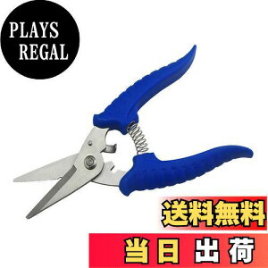 yzDFsucces \͂  dHnT~ dx XeX nT~ dCR[h nT~ ȗ͉