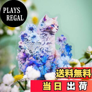 yzAlideco 120 V[ t[NV[ R[W f y[p[ fގ [X[gsAXebJ[g VFCgLeB CO ؍ V[ Cpm[gfށAL