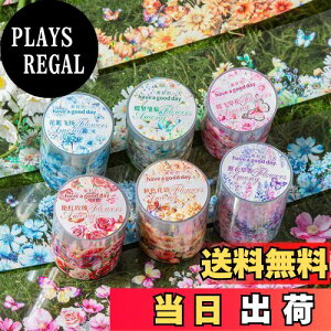 yzAlideco 6 }XLOe[v 킢 g Ԃ̕i 50mm×2 m PETS e[v L DIY  }Xe V[ (huajianyaju)