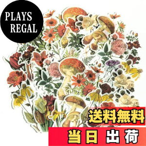 yzAlideco gXebJ[t[NebJ[ZbgA DIY  XebJ[ L NtgS ?m[gXebJ[ Be[W̉ԁAAA ̎qi60ЁjXNbvubL