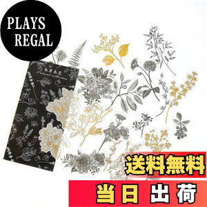 yzAlideco gXebJ[t[NebJ[ZbgA DIY  XebJ[ L NtgS ?m[gXebJ[ Be[W̉ԁAAA ̎qi60ЁjXNbvubL