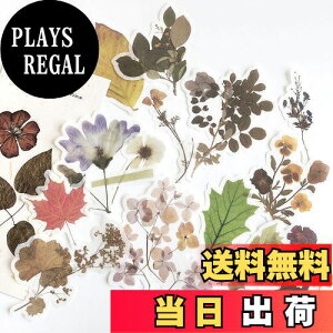 yzAlideco gXebJ[t[NebJ[ZbgA DIY  XebJ[ L NtgS ?m[gXebJ[ Be[W̉ԁAAA ̎qi60ЁjXNbvubL