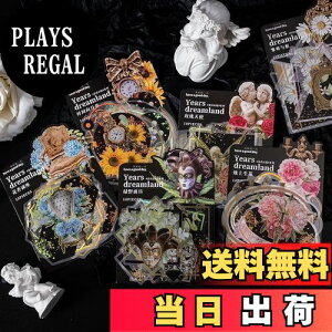 yzAlideco120 V[ t[NV[ R[W f y[p[ fގ [X[gsAXebJ[g  CO ؍ V[ Cpm[gfށALpi (meiguit