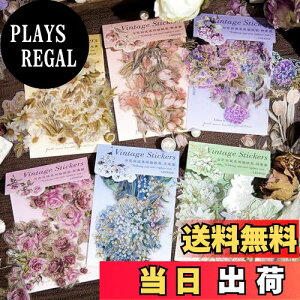 yzAlideco120 V[ t[NV[ XebJ[R[Wg LL`[bvAoAAWTCAXYAfCW[Ả CO ؍ V[ Cpm[g