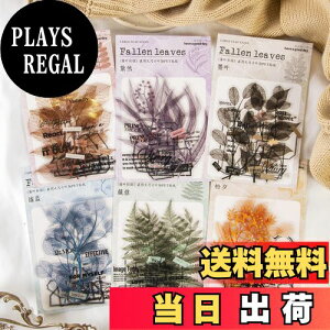 yzAlideco120 V[ t[NV[ R[W f y[p[ fގ [X[gsAXebJ[g A̗t PETCO ؍ V[ Cpm[gfށALpi (l