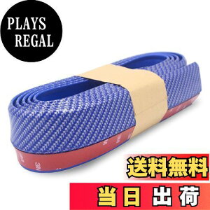 yzXSAJU A_[bv[ bvX|C[ ԗp op[ GA K[h J[{ rXt 2.5m 45mm (u[)