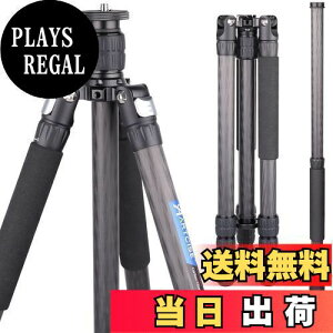 yzJ[{Or ARTCISE 10wJ[{t@Co[ގ yʃgxOr S1645mm 2023N fUC 29mmpCva liibgbN BeOr OiJr rLkώ vJO