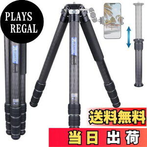 yzARTCISE2024 40mmaJ[{t@Co[ގOr S1930mm ω׏d25kgȏ St gxOr S 5i ibgbN [obNt sp (CS902C)