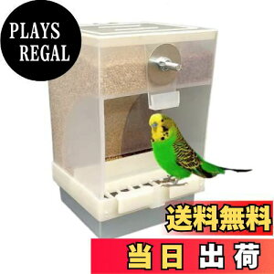 yzDIZLAS CR  a a t[htB[_[ Ot