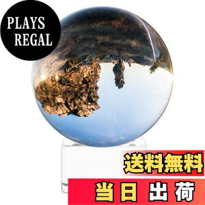 yzNavaris KX ʐ^ KX{[ - tHg{[ KX X^ht - K9 NX^{[  NX^ u fR - a80mm