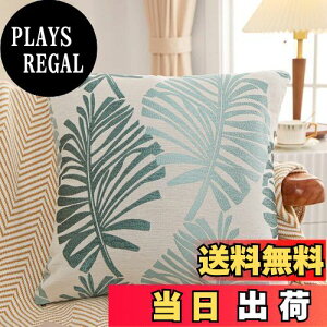 yzYunJeude NbVJo[ 45x45cm k 2Zbg Ȃƃl   t̕ WK[hD t@Xi[ Vv i` _ CeA \t@[pNbVJ