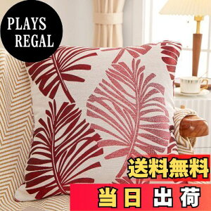 yzYunJeude NbVJo[ 45x45cm k 2Zbg Ȃƃl   t̕ WK[hD t@Xi[ Vv i` _ CeA \t@[pNbVJ