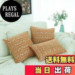 yzYunJeude NbVJo[ 50x50cm VFj[n 􉽊w͗l   _炩k  sP[X  ֎q CeA 2Zbg (IW, 50x50)