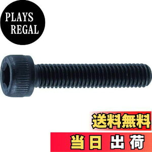 yzgXRR(TRUSCO) Zpt{g SlW B300203  M2×3 31{ x 10pbN yP[X̔z