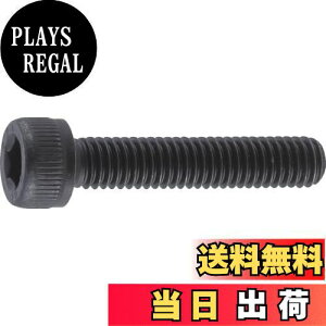 yzgXRR(TRUSCO) Zpt{g SlW B300415  M4×15 65{ x 10pbN yP[X̔z