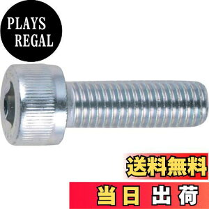 yzgXRR(TRUSCO) Zpt{g SlW B7301040 O M10×40 5{ x 10pbN yP[X̔z