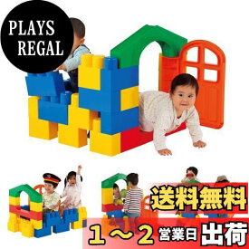 ピープル 全身でブロック 入って遊べるセット 作ったものに入って遊べる 頭が育つ 作例20通り以上 1歳が自分で積める 5種類23パーツ入り YG-115