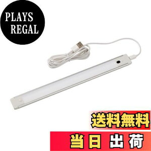 yzGp (ELPA) LEDړIUSBvbV LEDCg 260lm ALT-USB2030PS(L)